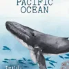 Pacific-Ocean-Box-Cover